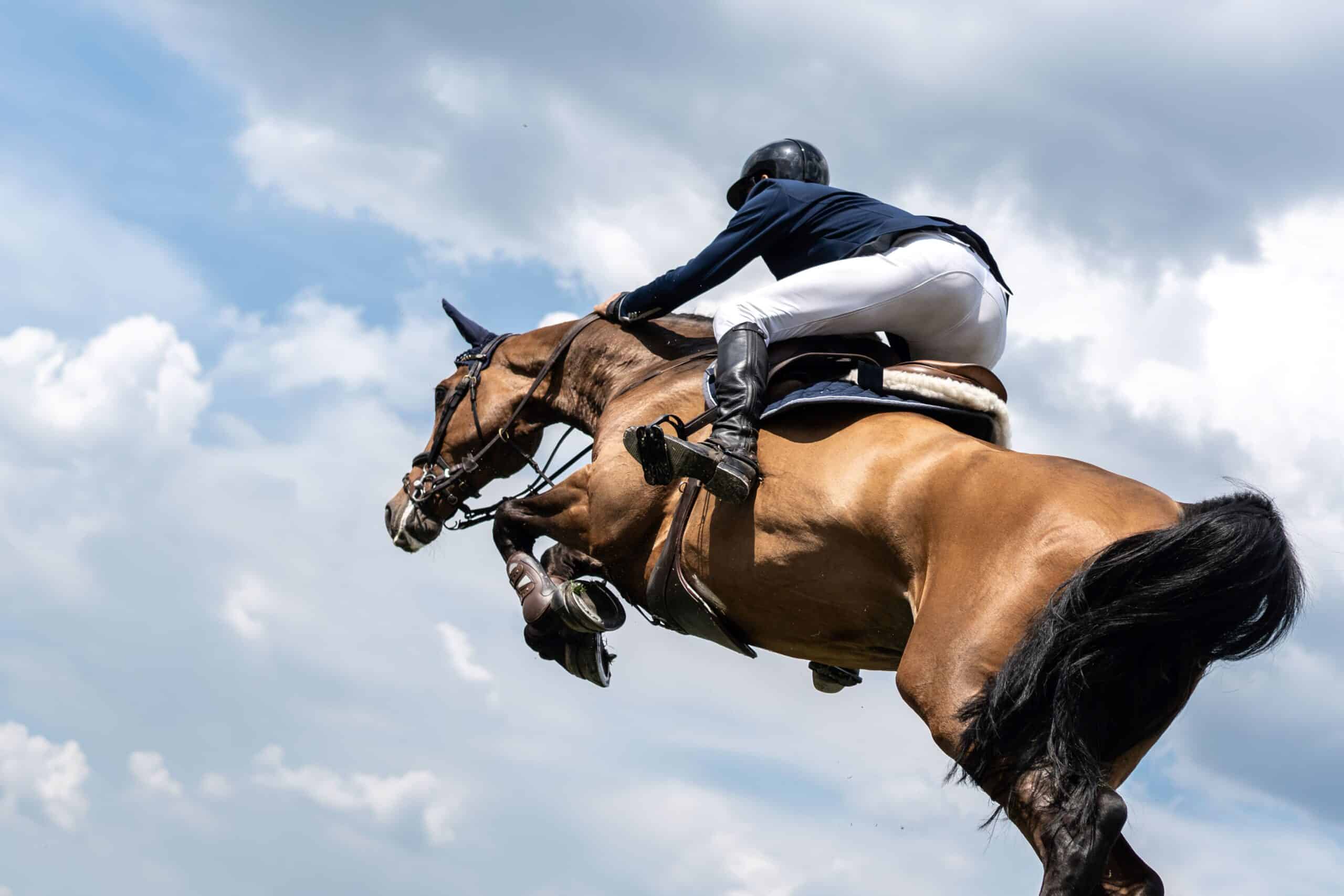 Horse and rider jumping over an obstacle against a cloudy sky