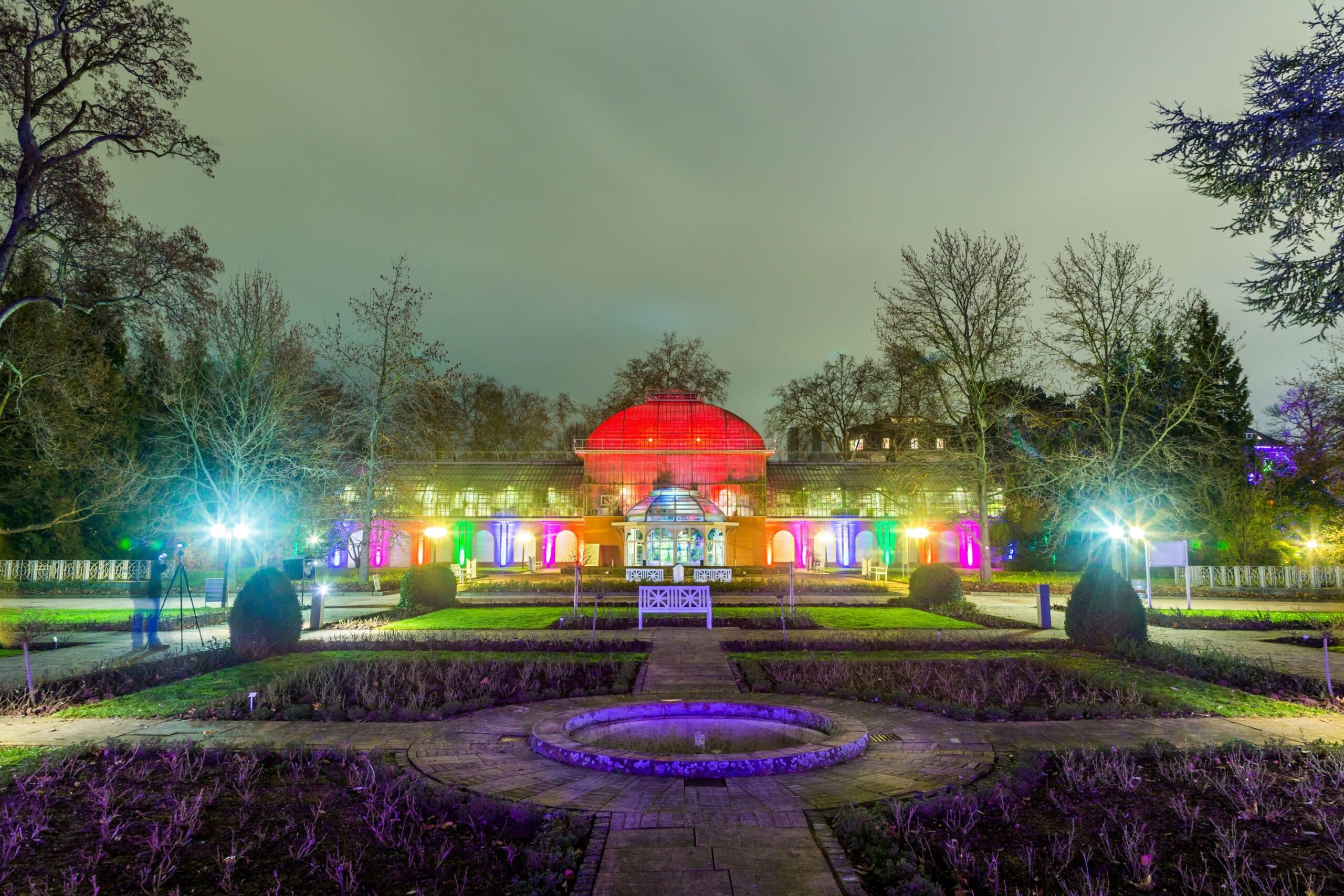 Beleuchteter Palmengarten in Frankfurt bei Nacht