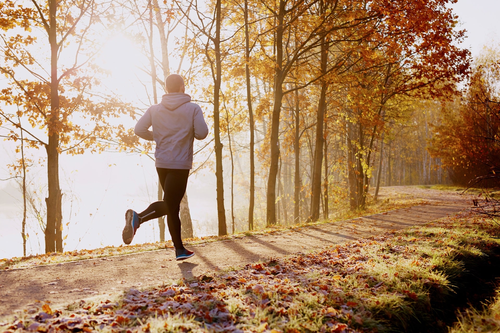 Alleinlauf durch Herbstwald für Pokale